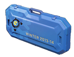 Image of the eSports 2013 Winter Case from Counter Strike 2