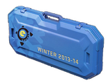 Зимний кейс eSports 2013