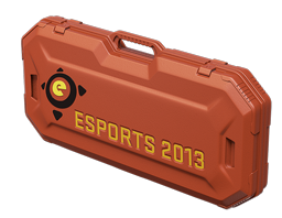 Image of the eSports 2013 Case from Counter Strike 2