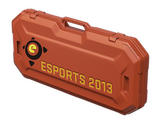 Кейс eSports 2013