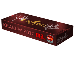 Zestaw pamiątkowy z PGL Kraków 2017 – Train