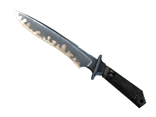 Image for the ★ Classic Knife  weapon skin in Counter Strike 2