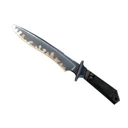 ★ StatTrak™ Classic Knife