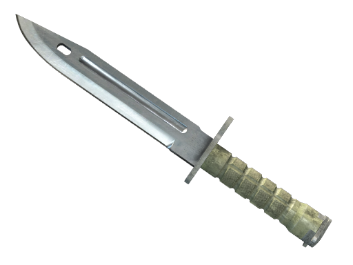 ★ StatTrak™ Bayonet