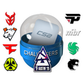 Austin 2025 Challengers Sticker Capsule image 120x120