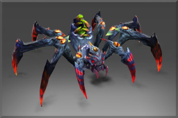 Webs of Perception Set