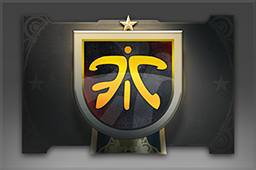 Team Pennant: Fnatic