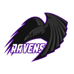 Ravens Bronze Tier Support - DPC Summer Tour - 2023