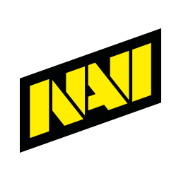 Natus Vincere Bronze Tier Support - DPC Winter Tour - 2023