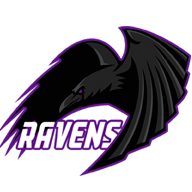 Ravens Bronze Tier Support - DPC Summer Tour - 2021-2022