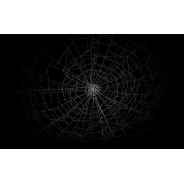 buy spider web