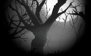 Best Forest Steam Profile Backgrounds 