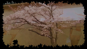 Steam Community :: :: Cherry Blossoms Gif