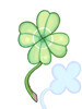 Four-leaf clover