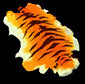 Tiger Skin