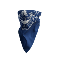 Bandana Skull Blue