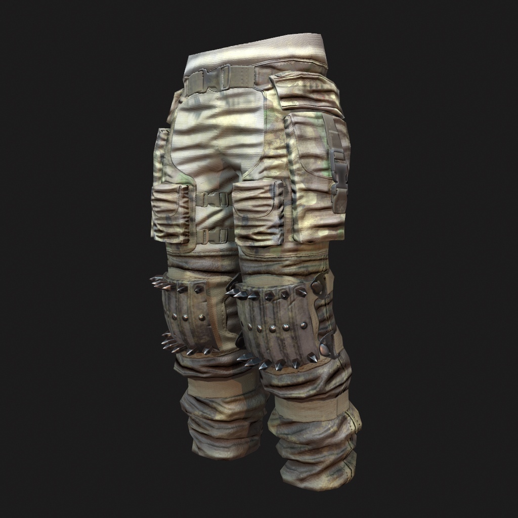 Reinforced army pants