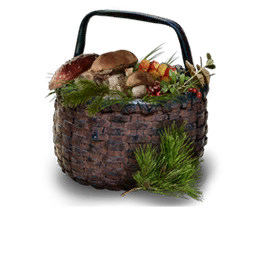 Forester's basket