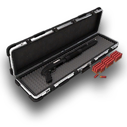 Case with Mossberg 500