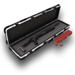 Case with SPAS12