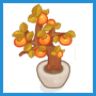 Orange Tree