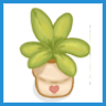Money Tree