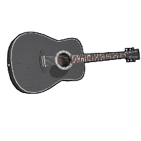 Black Acoustic Guitar Acoustic Guitar rust skin