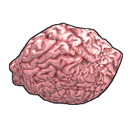 Fresh Brain Rock rust skin