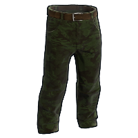 Forest Camo Pants