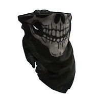 Steam :: Listings for Skull Bandana