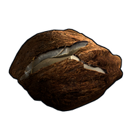 Coconut Rock Rock rust skin
