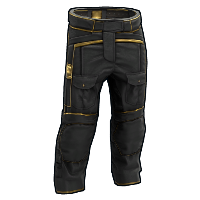Black Gold Pants Pants rust skin