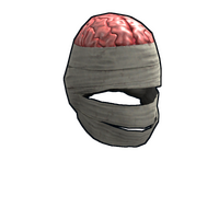 Wrapped Brain icon