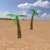 Arena: Beach Scene