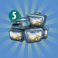 Bundle of 5 Lunchboxes