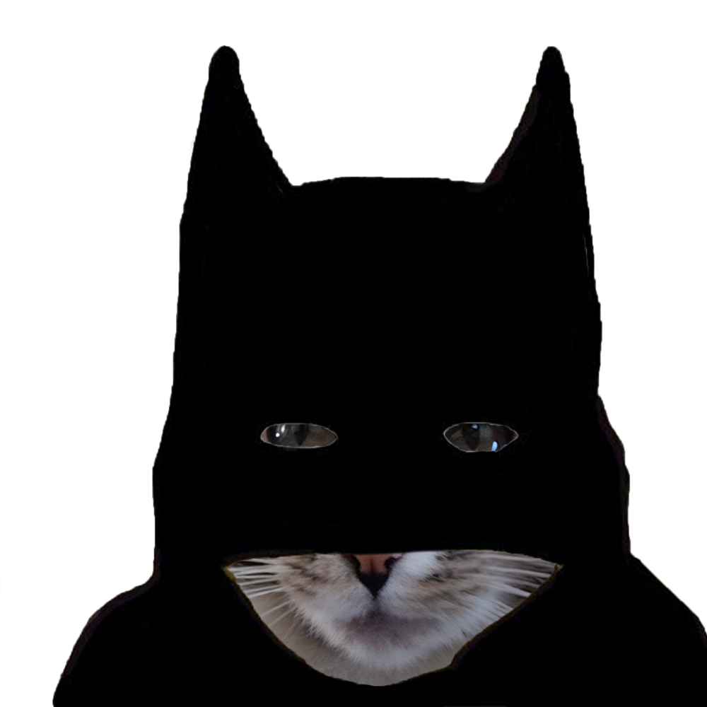 Batman Cat