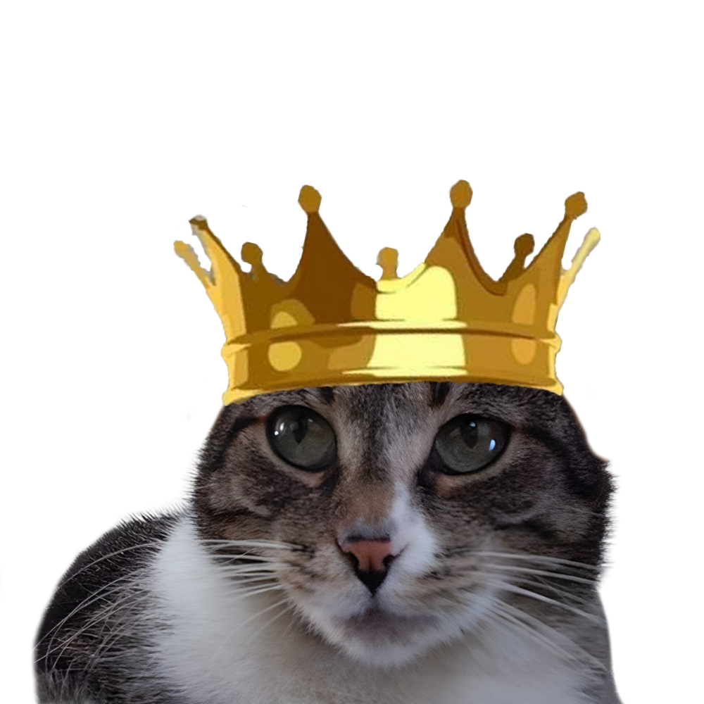 Prince Cat