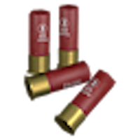 Buckshot Ammo Pack 30 bullets