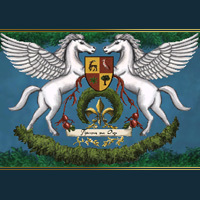 Thierna na Oge badge