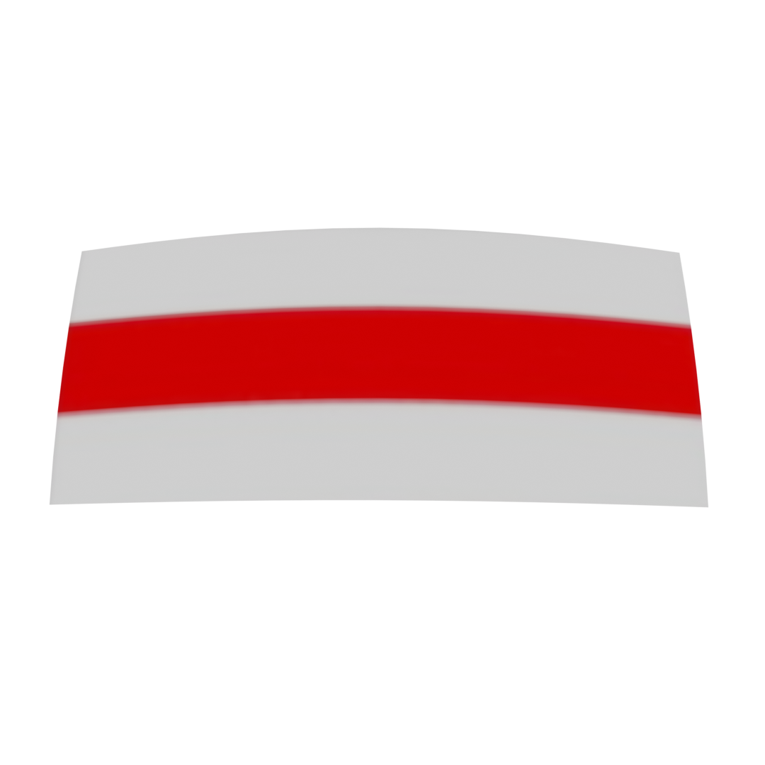 Belarusian Flag