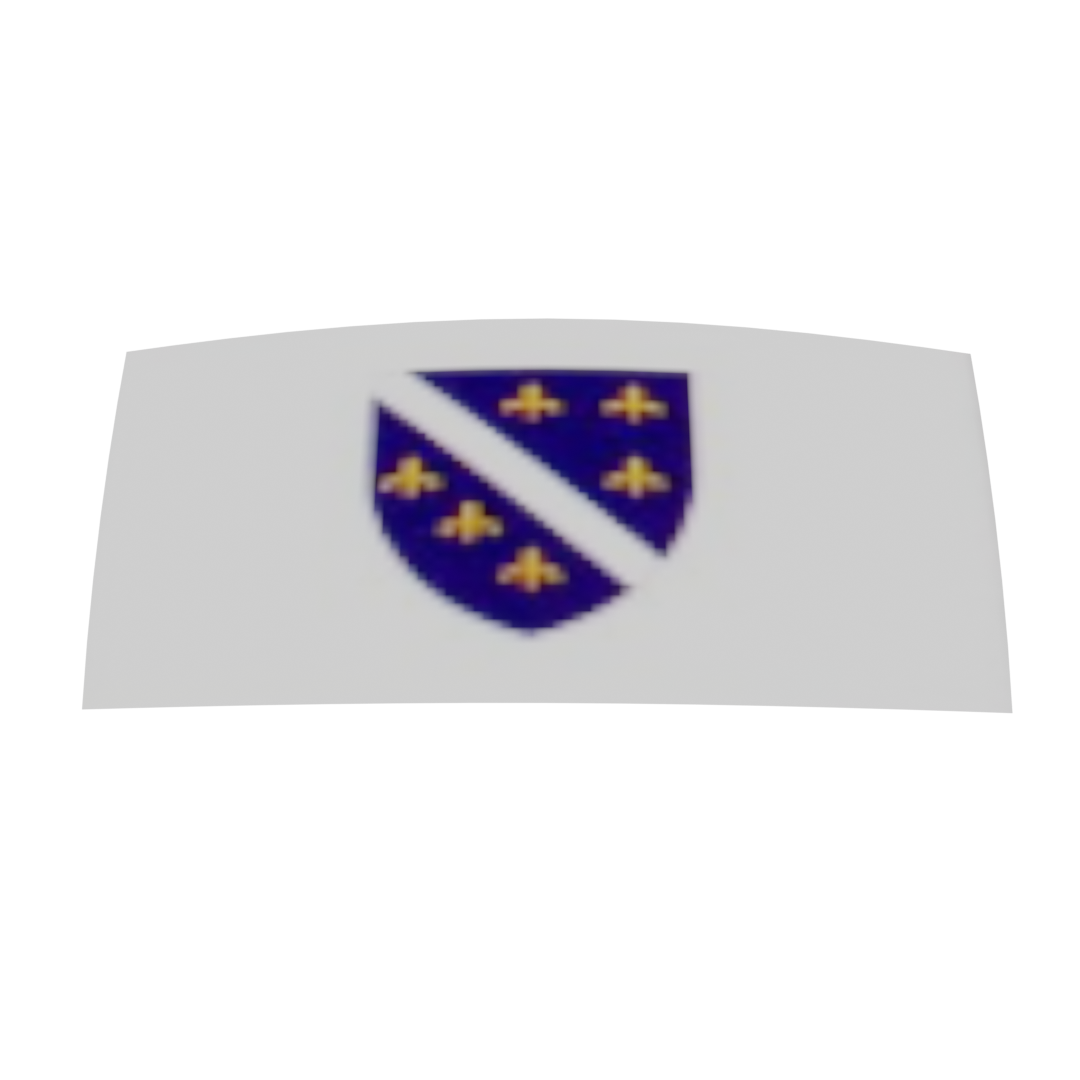 Bosnian-Herzegovinian Flag