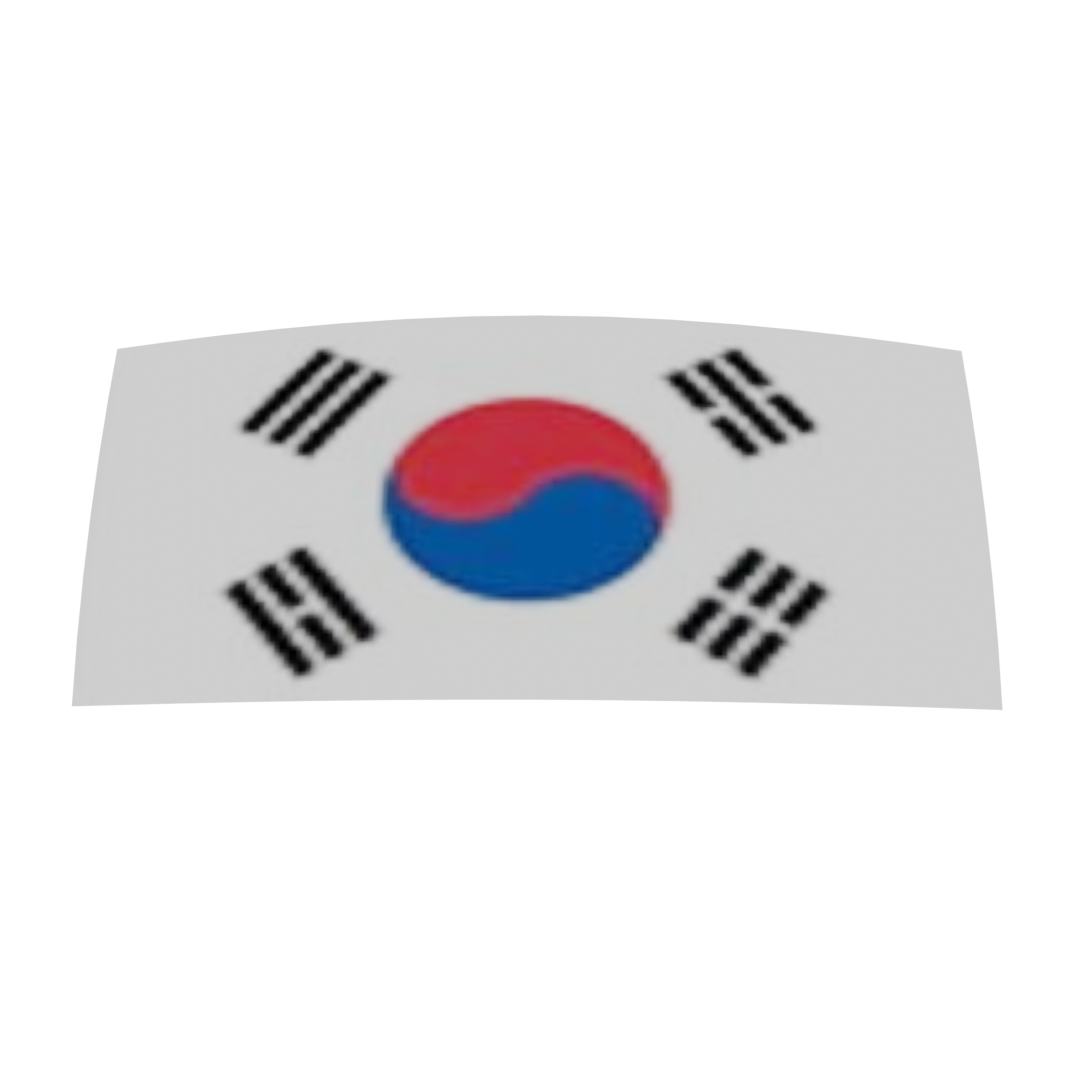 Flag of South Korea