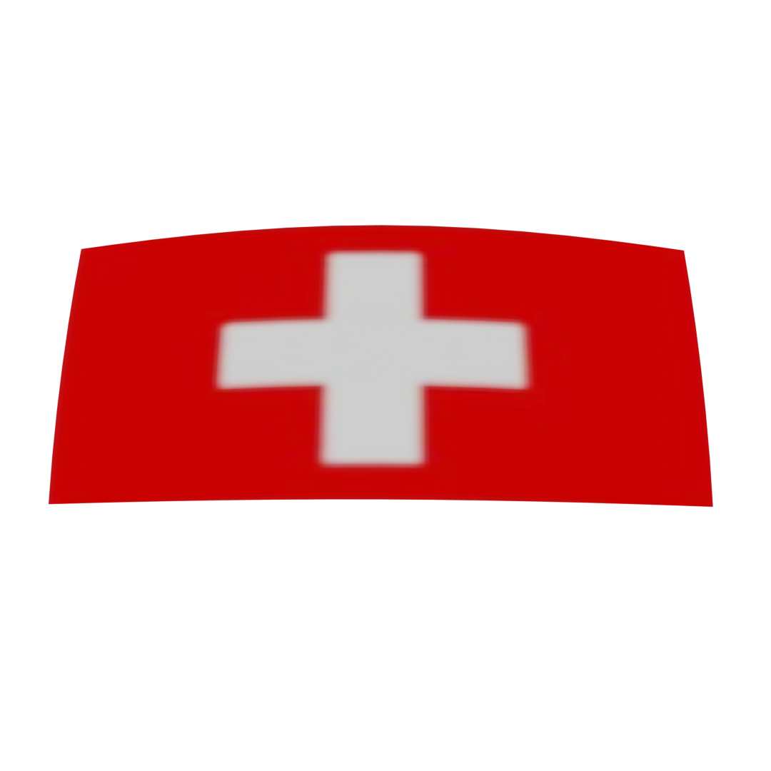 Swiss Flag