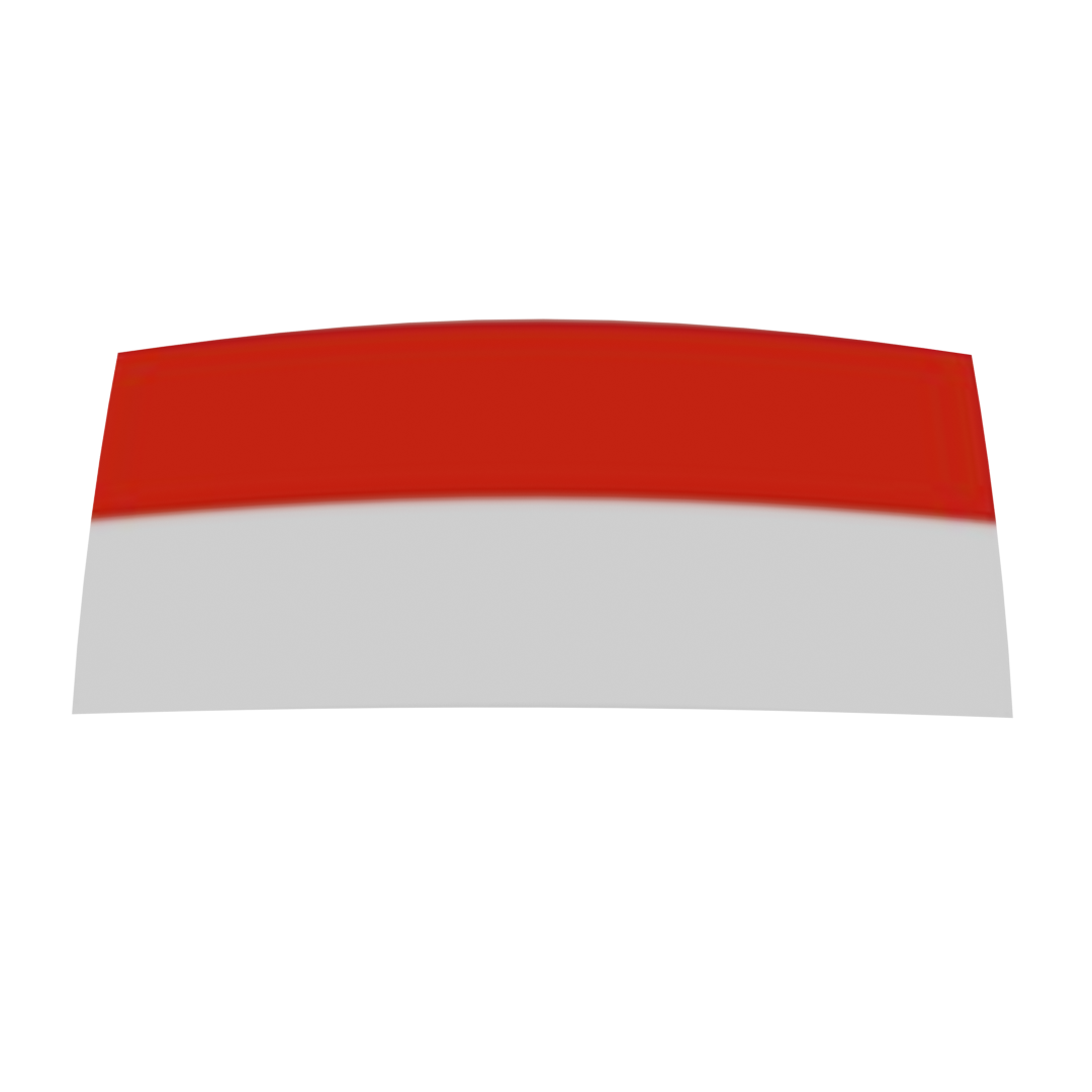 Indonesian Flag