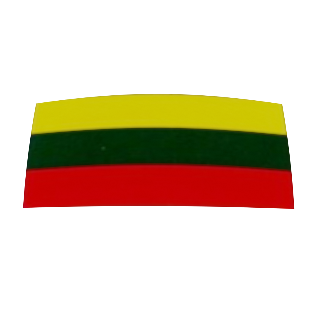 Lithuanian Flag