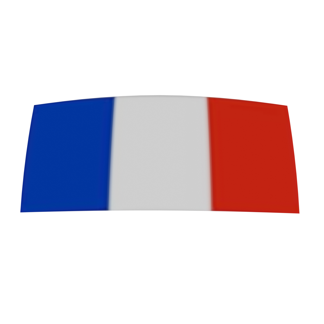 French Flag