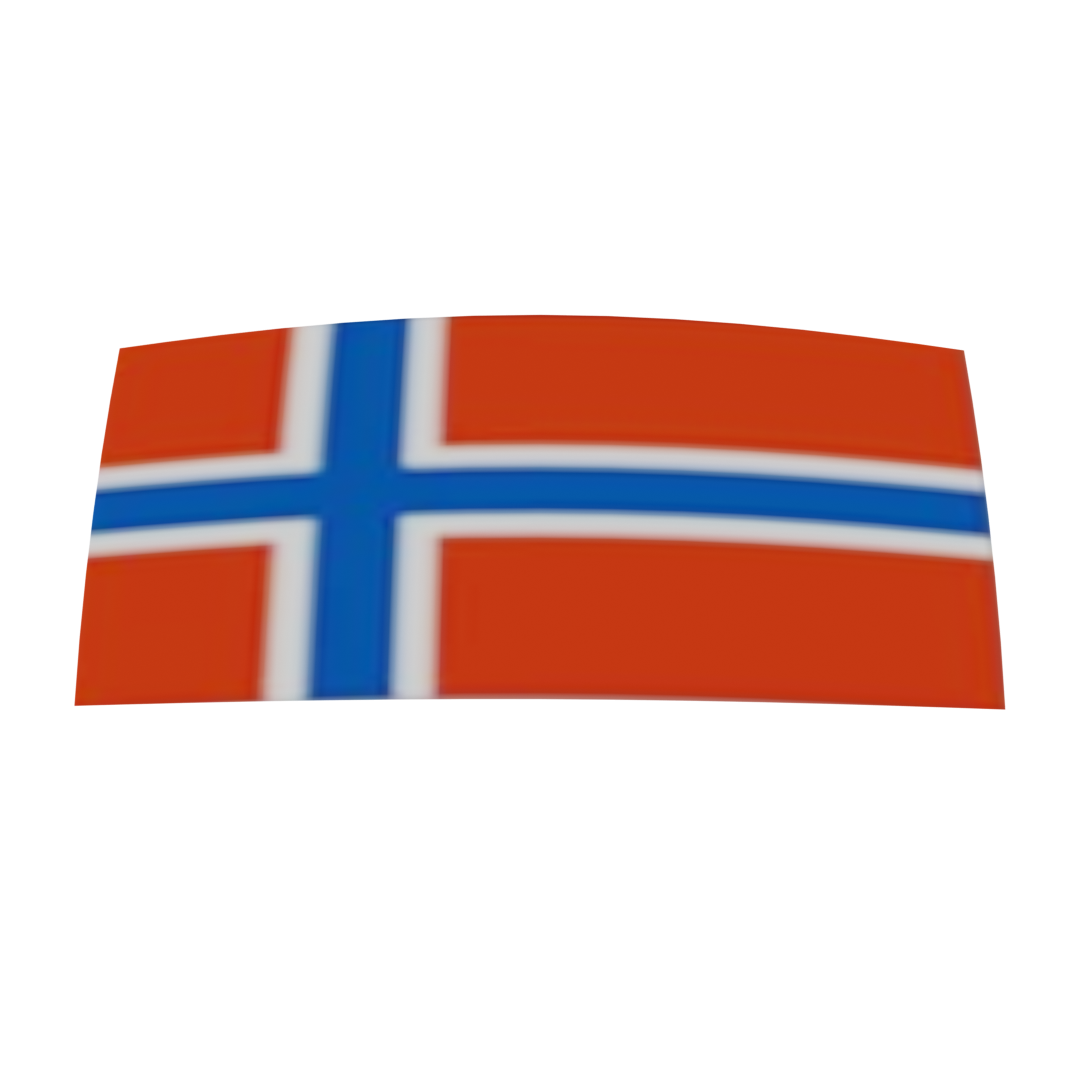 Norwegian Flag