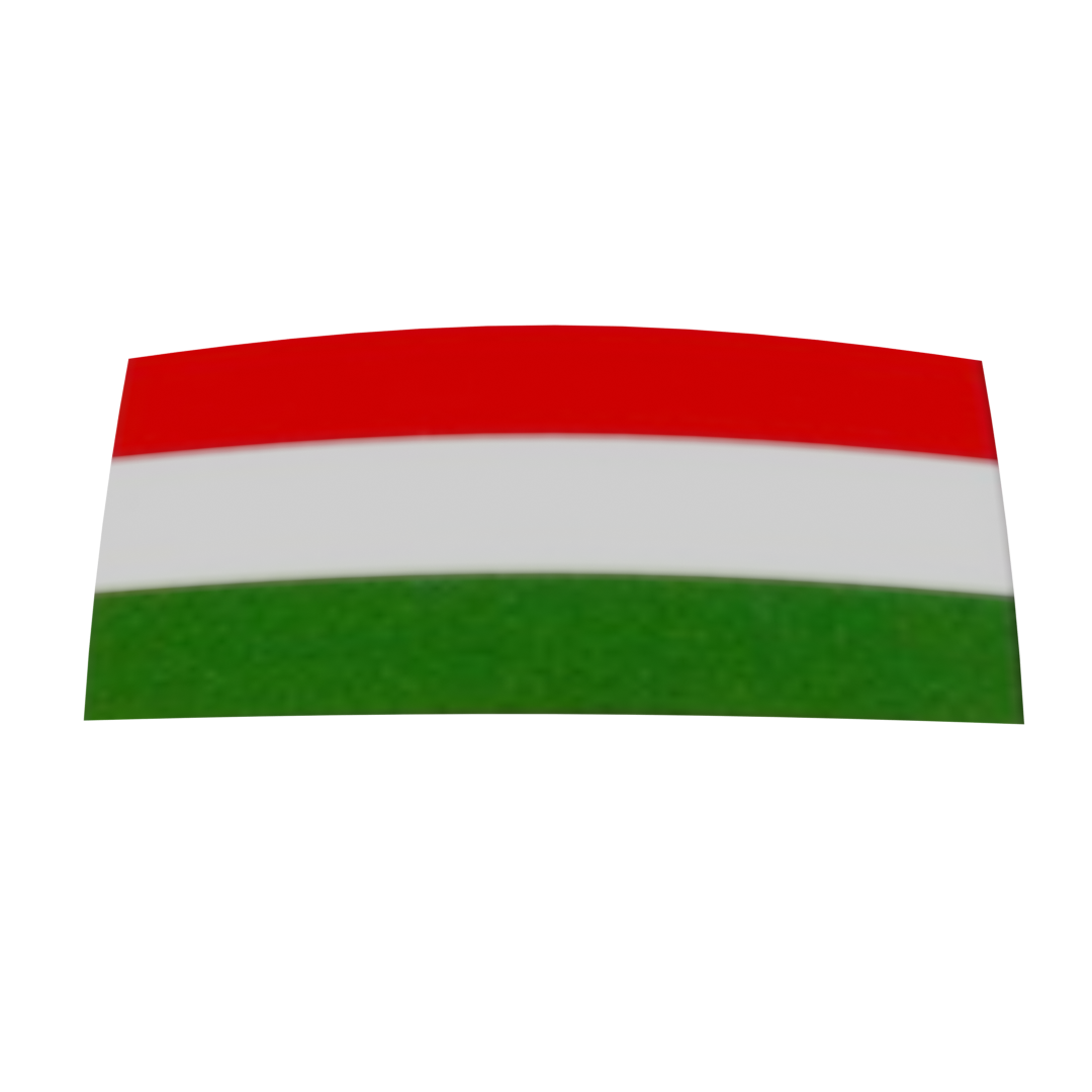 Hungarian Flag