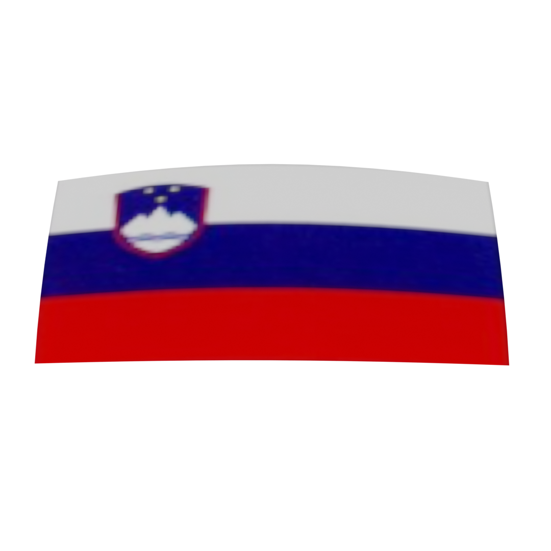 Slovenian Flag