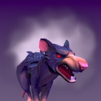 Dead Rat